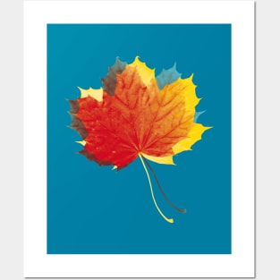 Autumn leaves red yellow on blue Posters and Art